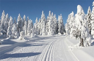  Pistas de esquí de fondo en Saboya